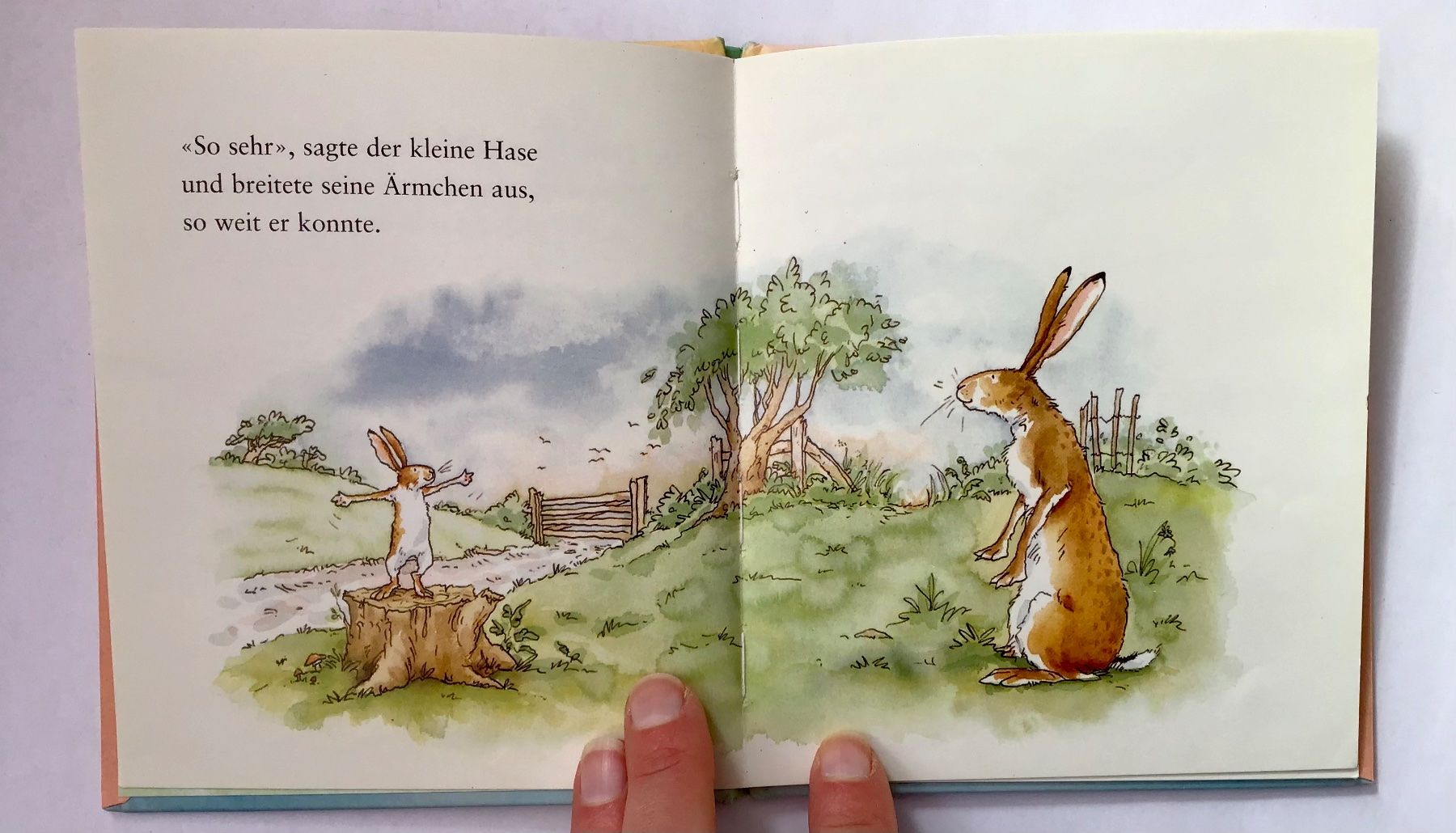 Libri: Weisst du eigentlich, wie lieb ich dich hab? – Usato da Bubendorf venduto da Alpenheidi 6