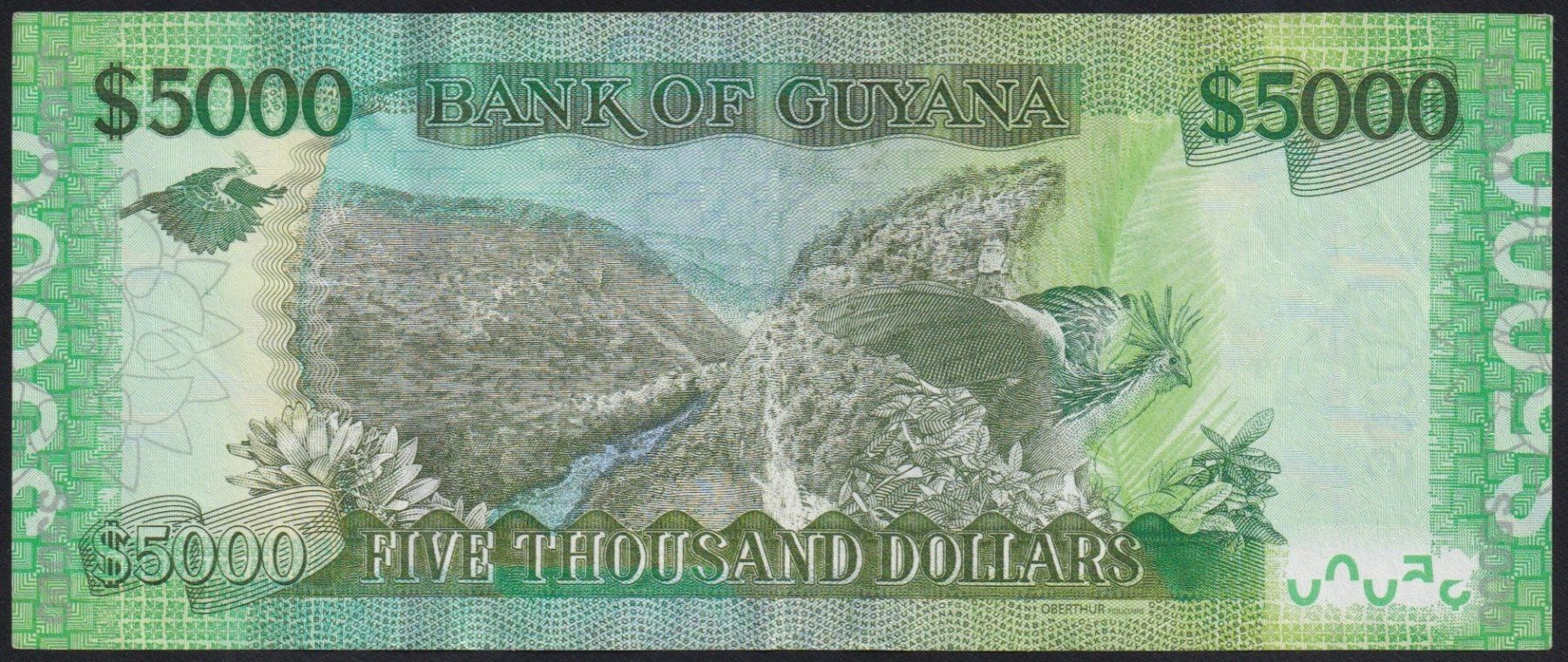 Banconote: Guyana 5000 Dollars 2020 – Usato da Brugg AG venduto da banknoten_muesli 1