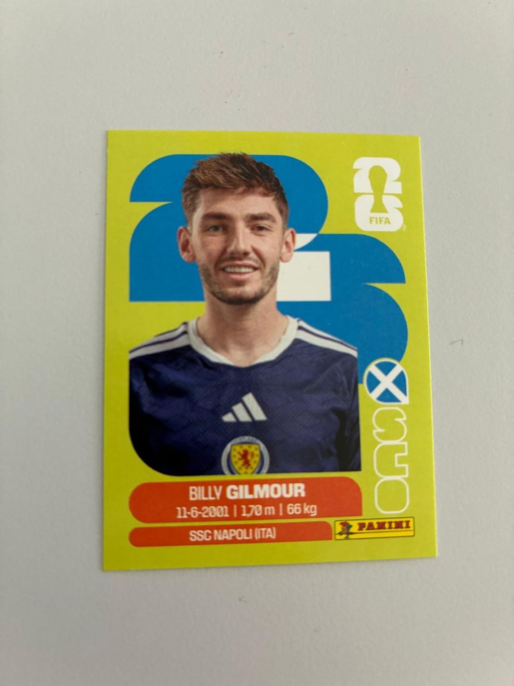 Panini Carte collezionabili: Carte panini 2026 - SCO 12 – Nuovo (secondo la descrizione) da La Neuveville venduto da Ibo2300