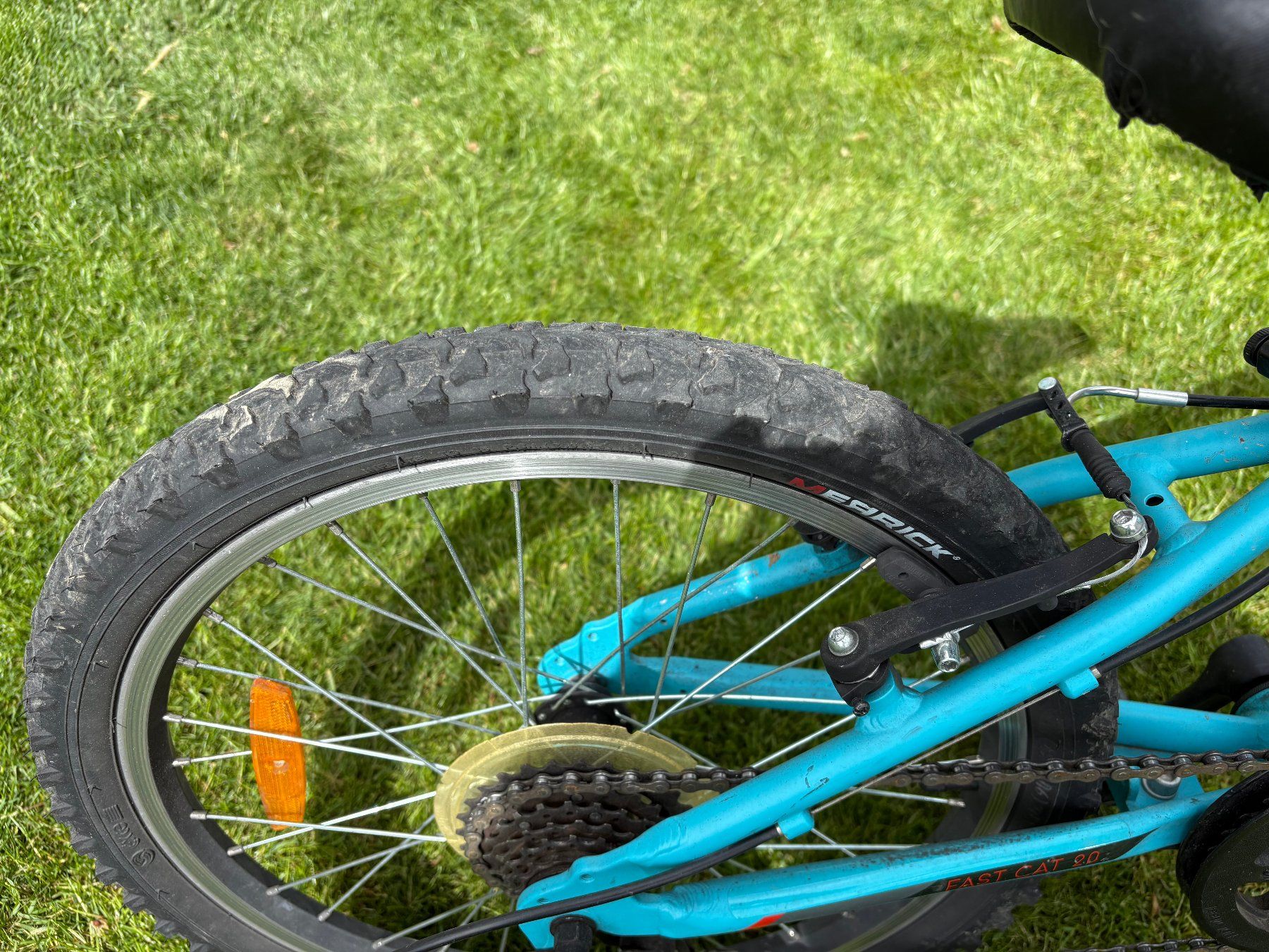 Leopard Biciclette: Vélo d'enfant 20 pouces – Usato da Riaz venduto da fredoscar79 2