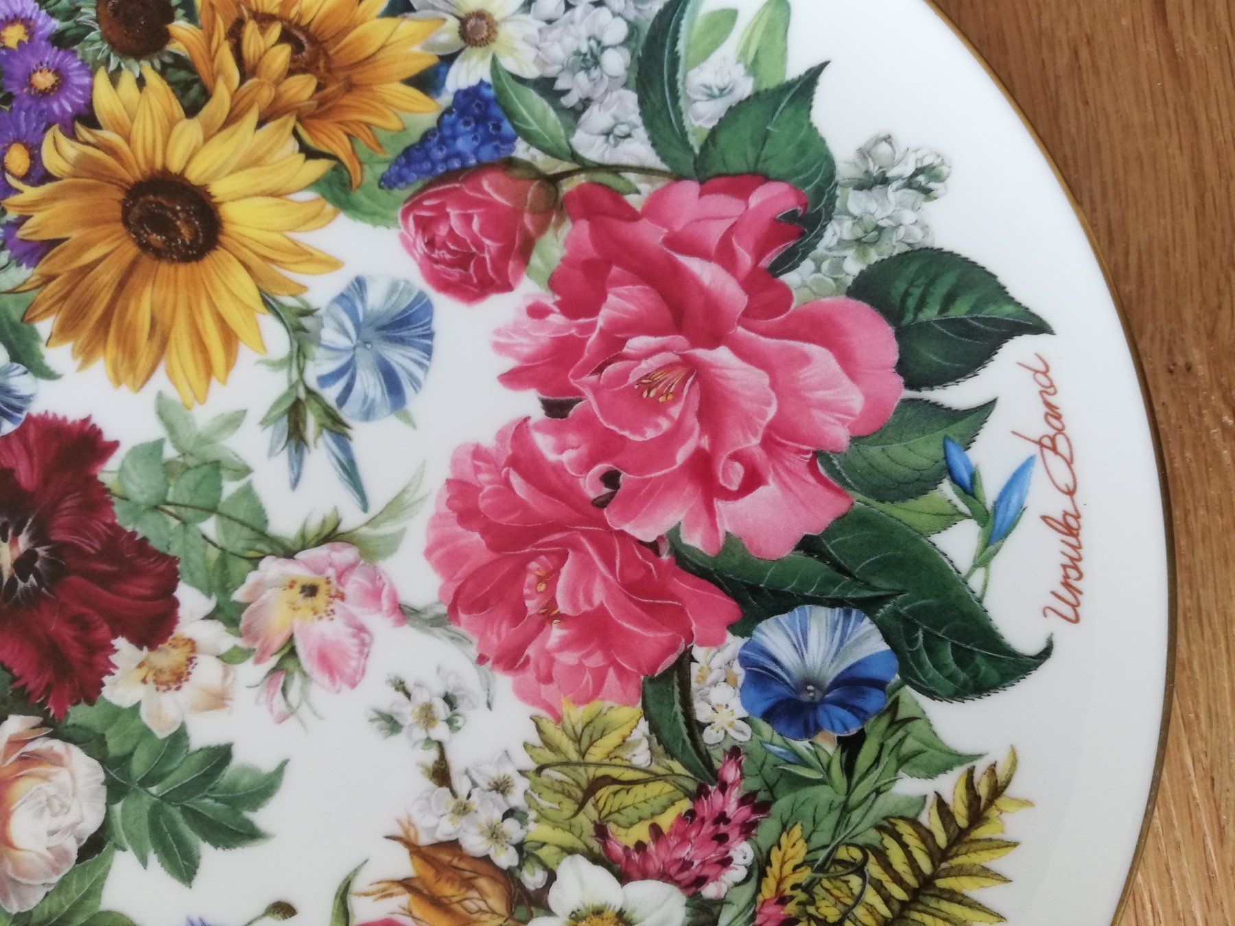 Teller: Sammlerteller Blumenmotiv – Gebraucht aus Untersiggenthal von Marlen59 2