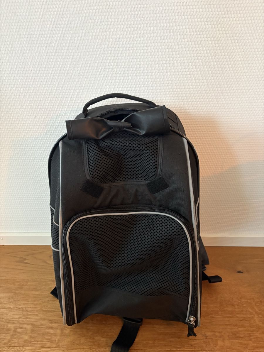 Cucce & Letti: Hunderucksack – Usato da Buchrain venduto da Rapha3