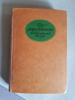 antikes Buch: Der junge Schumann 1910 Dichtungen und Briefe
