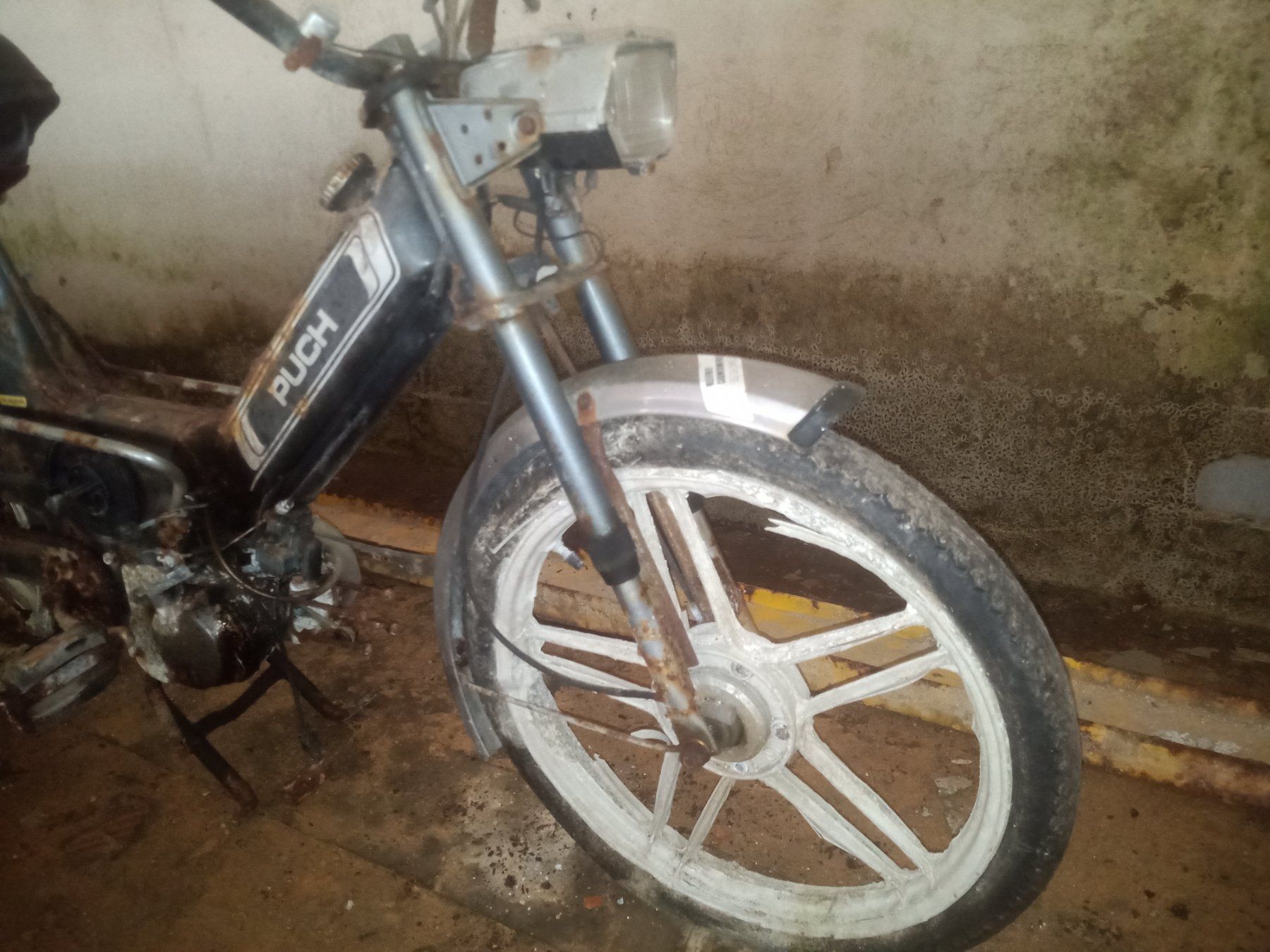 Puch Mofas: Dekoration Puch Maxi S – Gebraucht aus Reichenburg von finden001 3