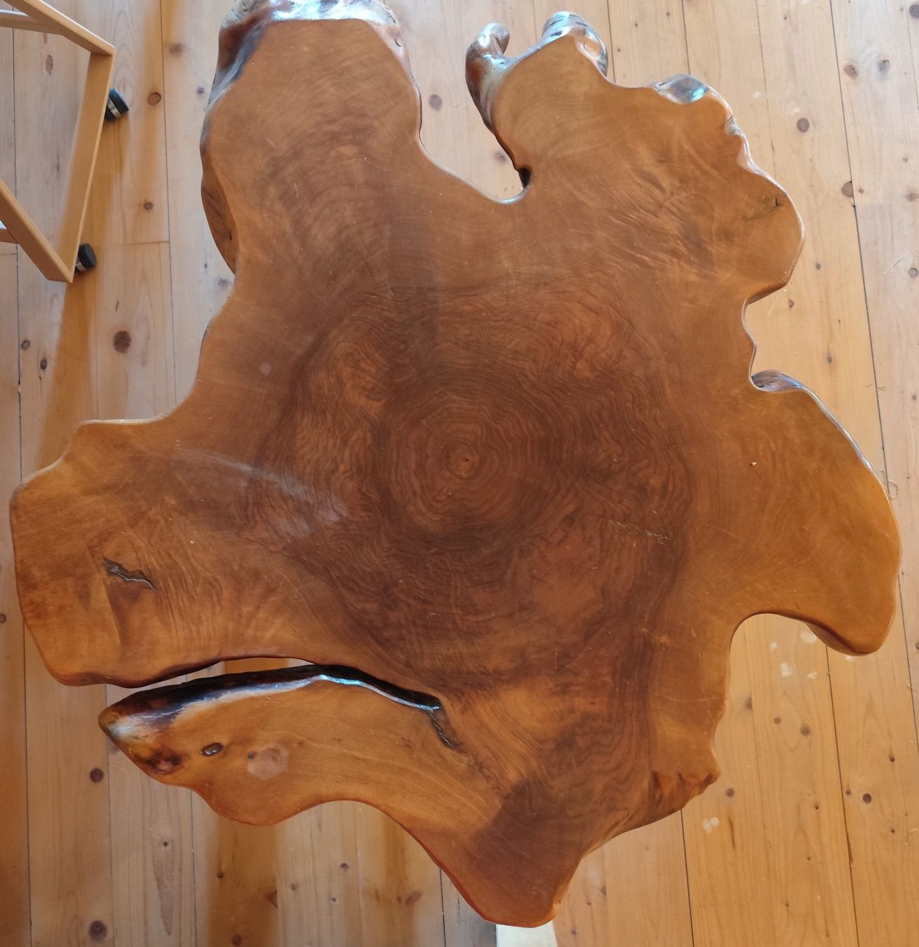 Holzartikel: Wurzelstock Tischplatte – Gebraucht aus Erlinsbach SO von Uloa1
