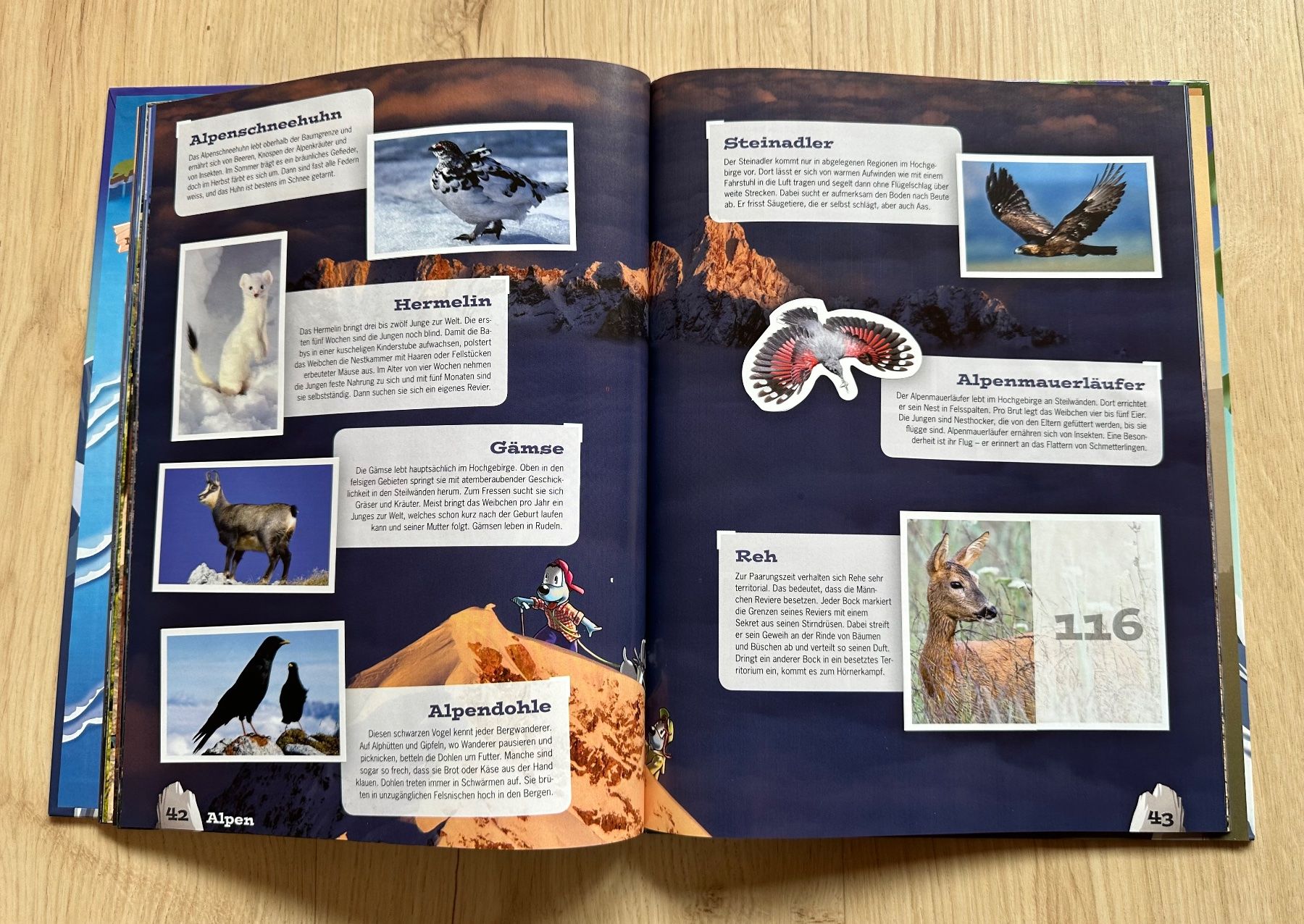 Migros Album: Stickermania - Mountain Mania - Abenteuer Bergwelt – Usato da Zermatt venduto da Jduck 2