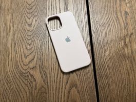 Apple iPhone 12 Pro Max Silikon Case Rosa