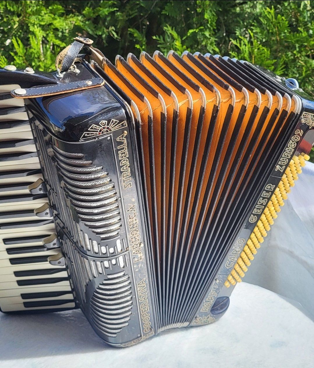 Strumenti musicali: Cooperativa stradella 4 voix rare – Usato da Penthalaz venduto da EvandroLuz 2