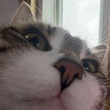 Profile image of LilithAdriana