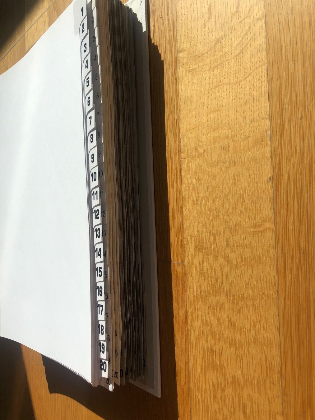 Raccoglitori: 15x Register 1-20 – Usato da Münchenstein venduto da Dibu11 4