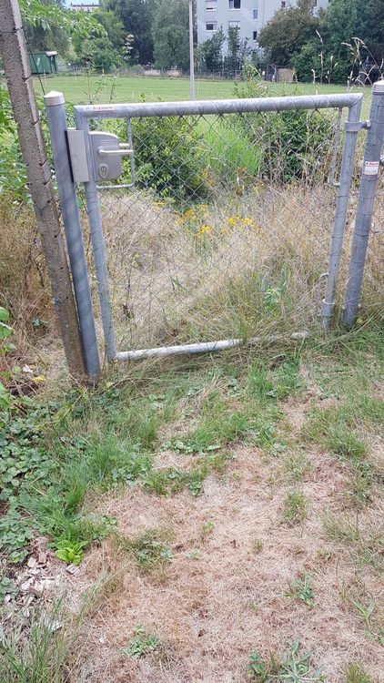 46+ Zaun Mit Gartentor, 5/5         (976)