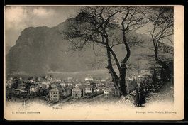 Biasca, Ortsansicht mit Bäumen und Berg