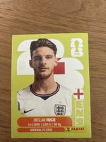 Panini Fifa ENG 10