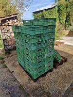 Gemüsekisten G2 50Stück