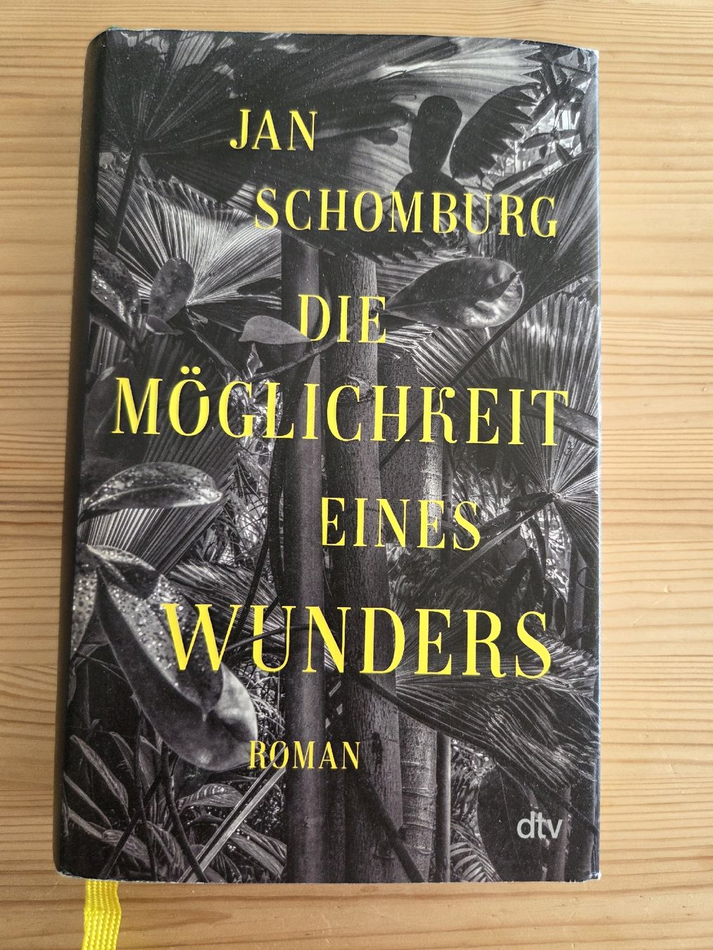 Libri: Die Möglichkeit eines Wunders, Jan Schomburg – Usato da Liestal venduto da ITOlio