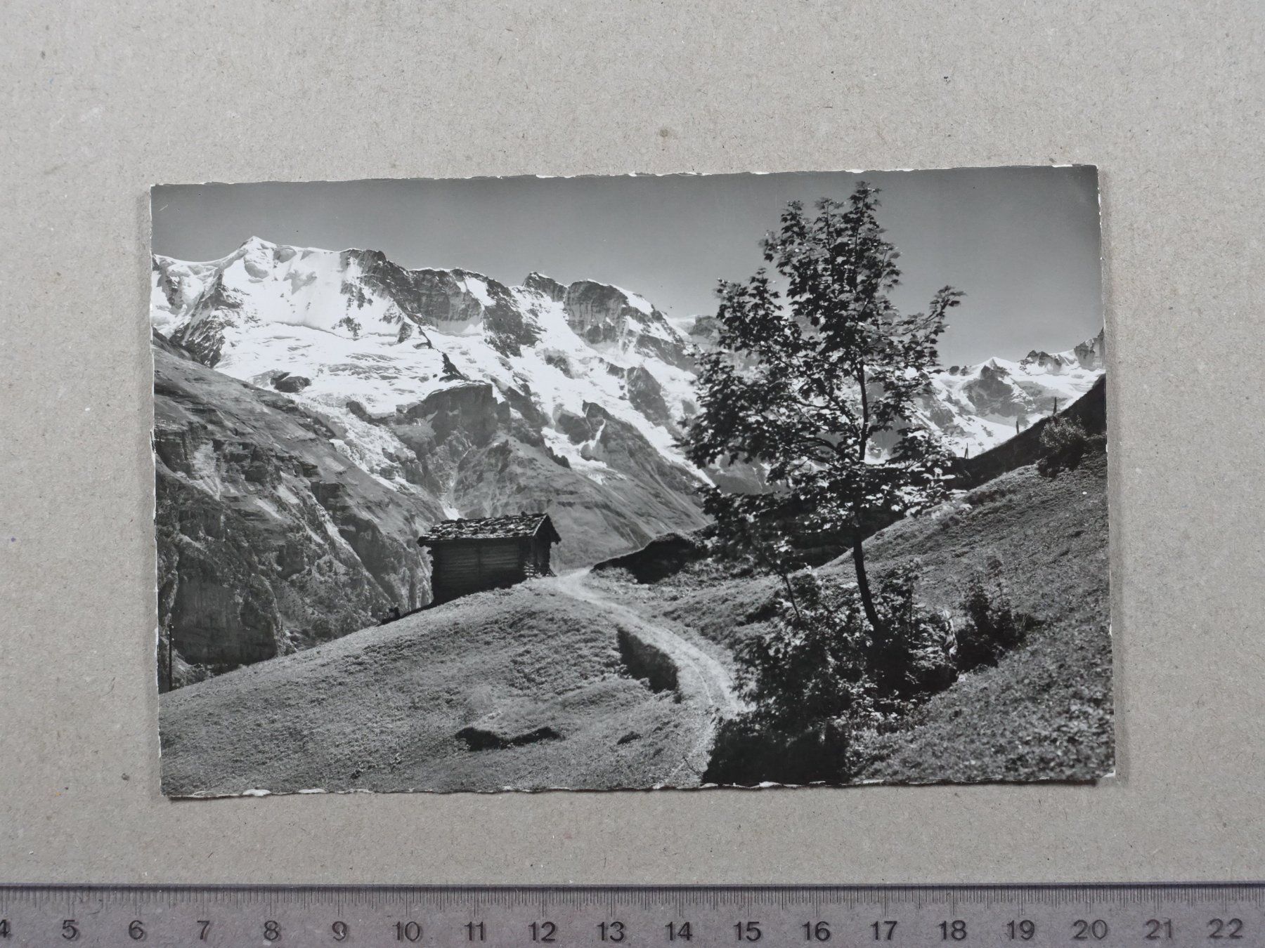 Cartes postales: Mürren, Ebnefluh, Mittaghorn – D'occasion à Lenzburg par fh1