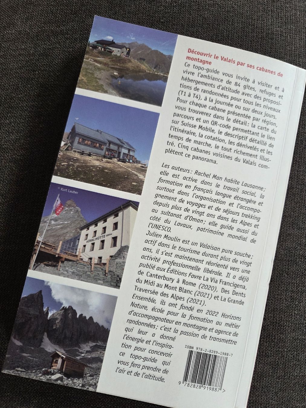 Libri: Guide Cabanes de montagne du Valais  – Usato da Praz-de-Fort venduto da val_j9xs 1