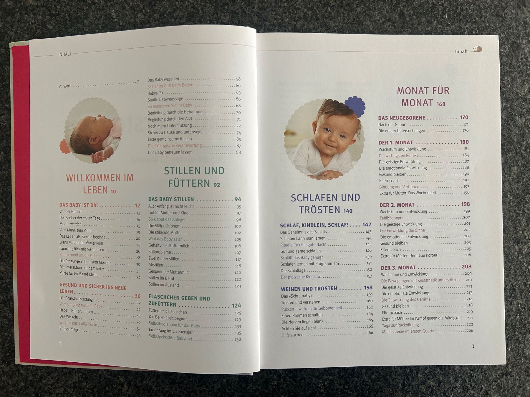Libri: Babys erstes Jahr – Usato da Aarau Rohr venduto da mel_5smb 2
