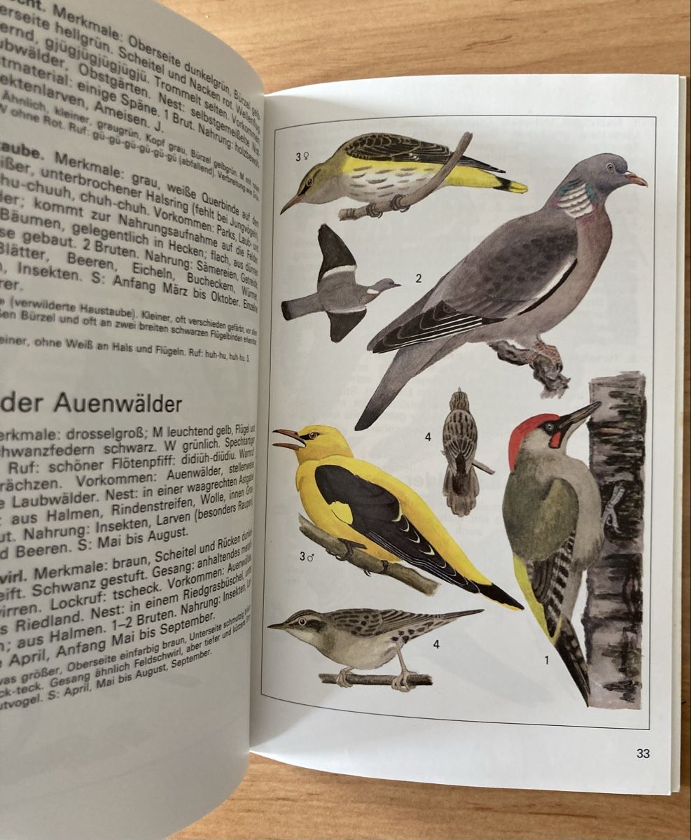 Libri: Einheimische Brutvögel - sehr Interessant – Usato da Schüpfheim venduto da Seerose80 1