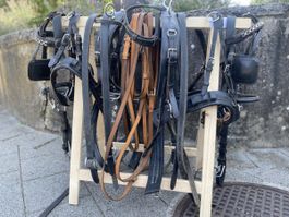 Brustblattgeschirr (Zweispänner) für Shettlandponys