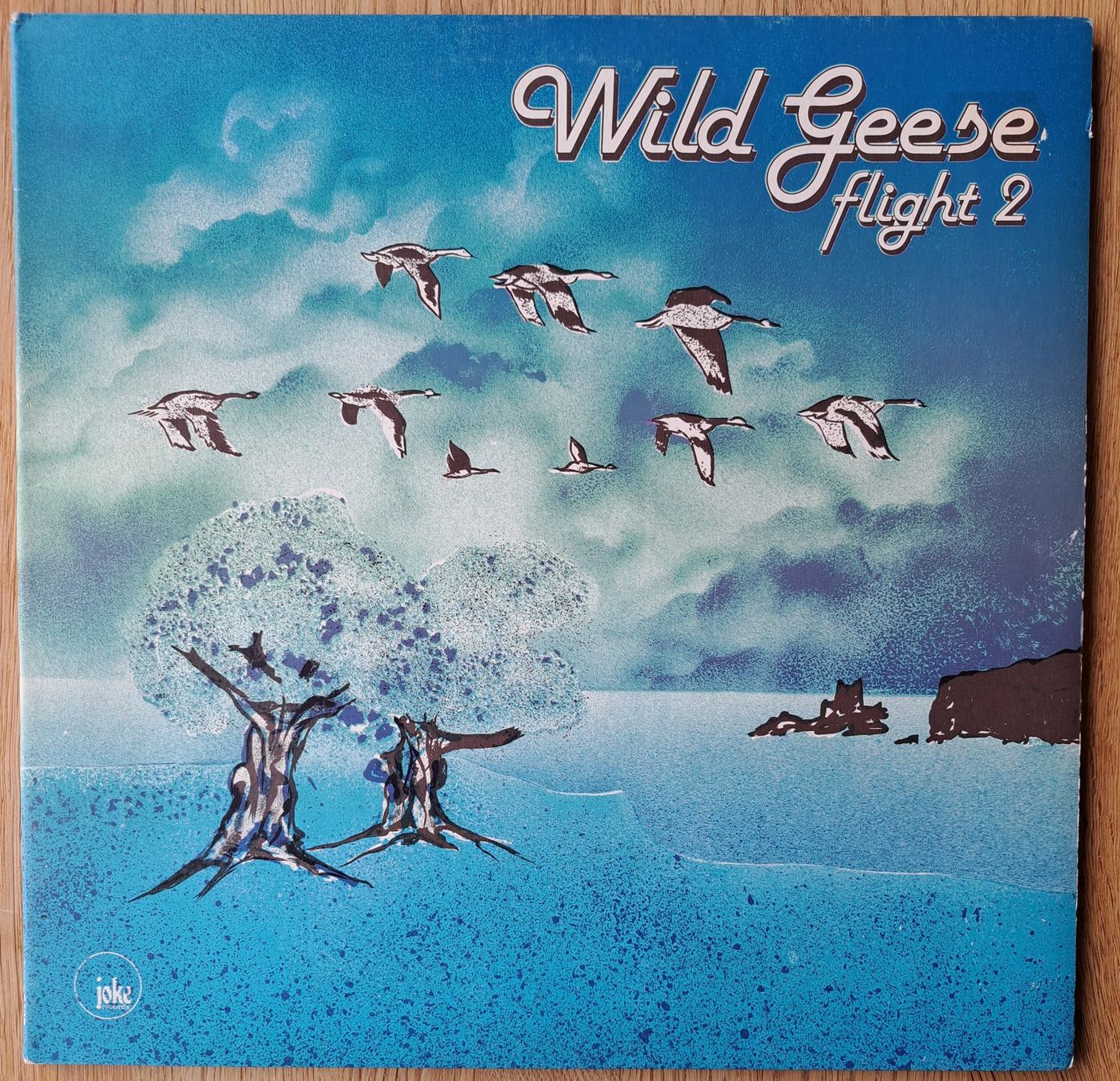 Dischi in vinile: Wild Geese - Flight 2 – Usato da Meggen venduto da Ricardokoch