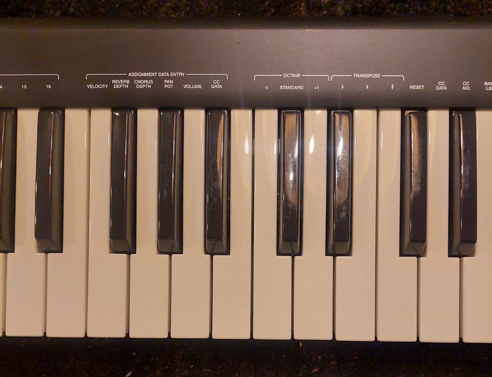Alesis Strumenti musicali: Klaviatur Alesis Q49 – Usato da Zürich venduto da Cortin 2