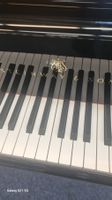 Steinway & Sons Flügel Modell A