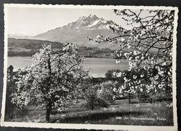 LUZERN Tribschen mit Pilatus - Frühling