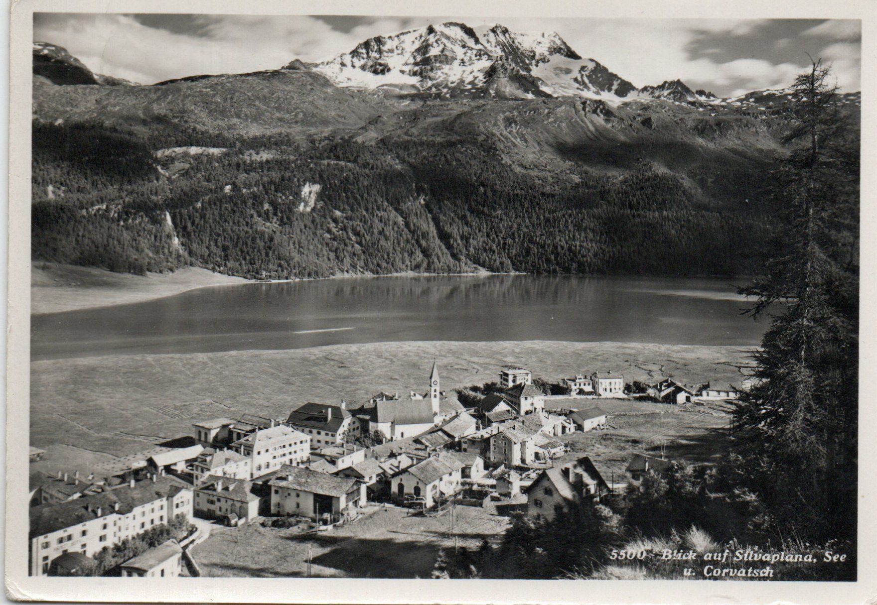 Cartoline postali: Silvaplana,See u.Corvatsch – Usato da Melano venduto da pisonsdro