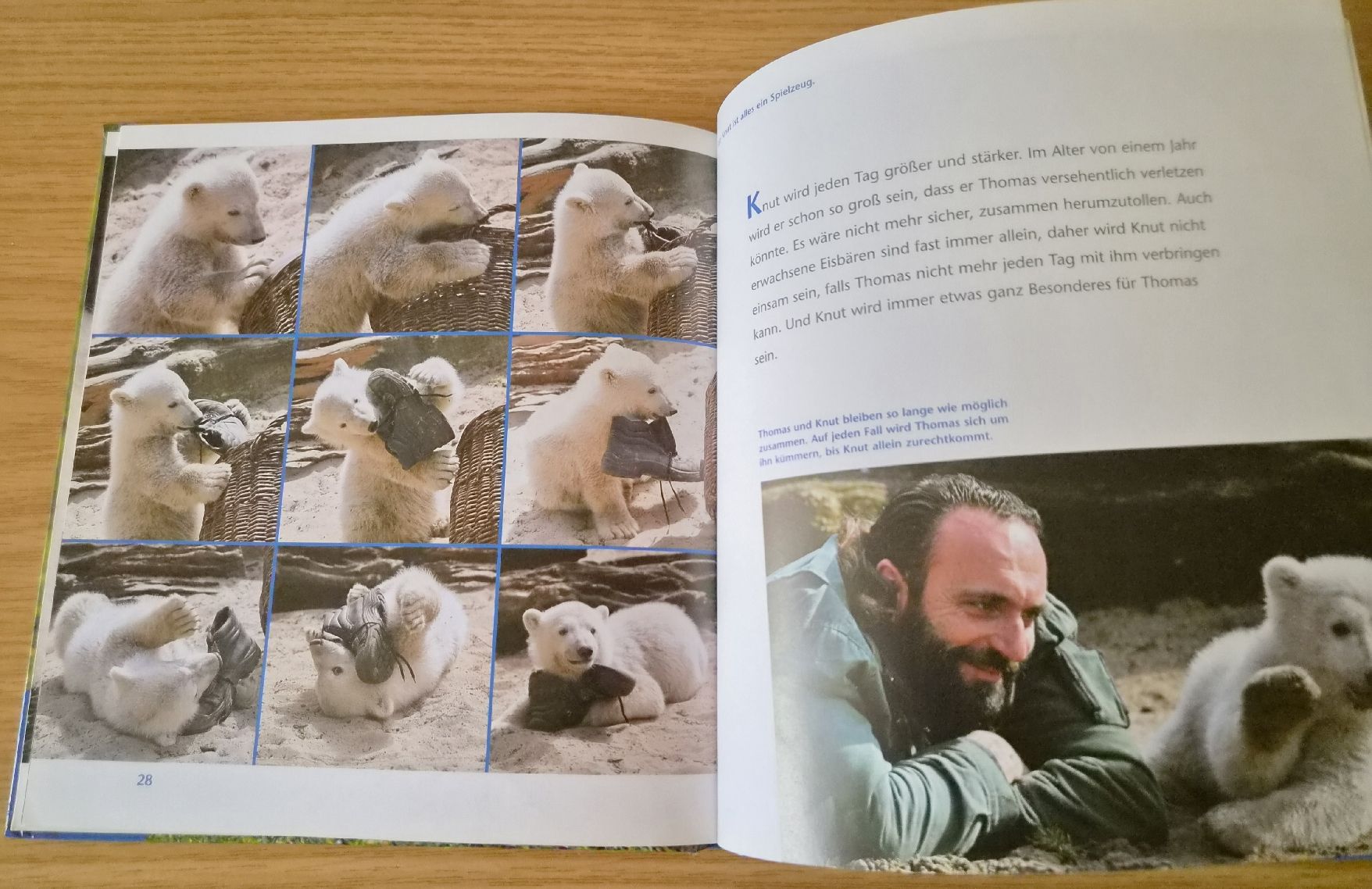Bücher: Buch: Knut der kleine Eisbärenjunge – Gebraucht aus Urtenen-Schönbühl von Kahru 3