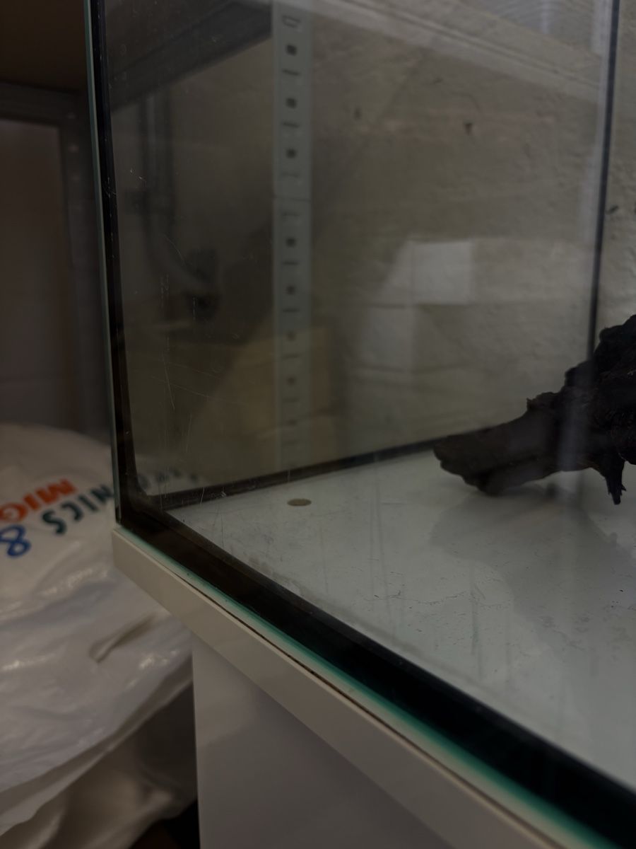 Acquari: Aquarium mit Zubehör – Usato da Ersigen venduto da mob_pc6d 6
