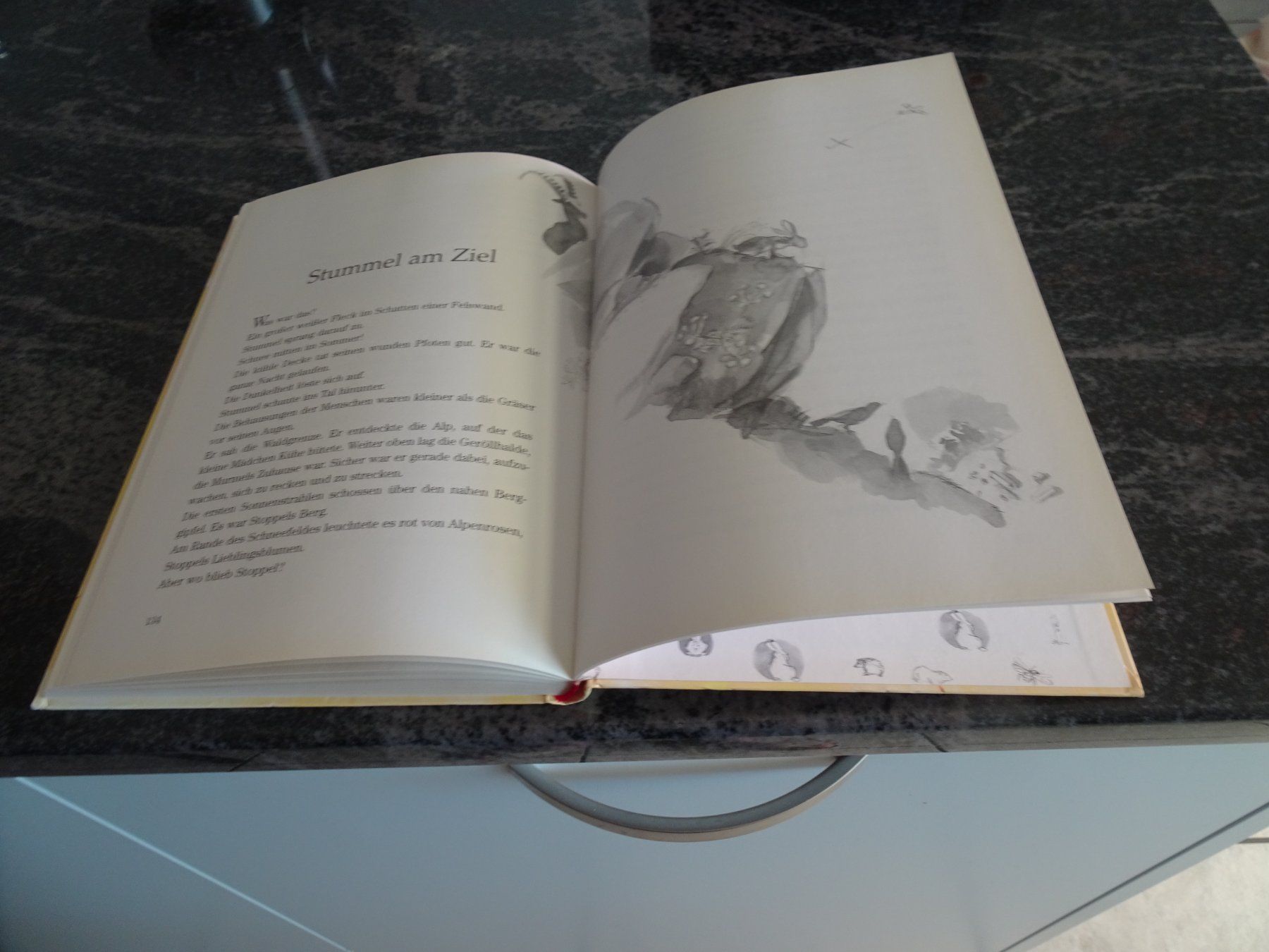 Libri: Buch Stummel Ein Hasenkind wird gross Max Bolliger 1999  JUL – Usato da Zürich venduto da Roulet 8