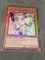 Ash Blossom & Joyous Spring – Ultimate Rare – RA04
