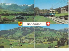 Schönried 1981