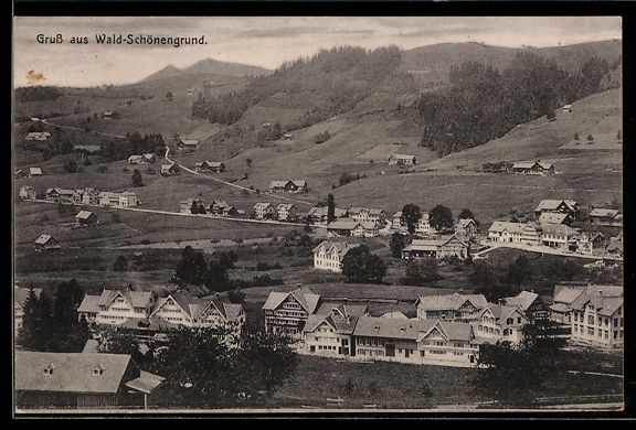 Cartoline postali: AK Wald-Schönengrund, Dorfansicht – Usato da Berlin venduto da bartko-reher