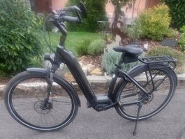 Flyer Gotour 6 3,10