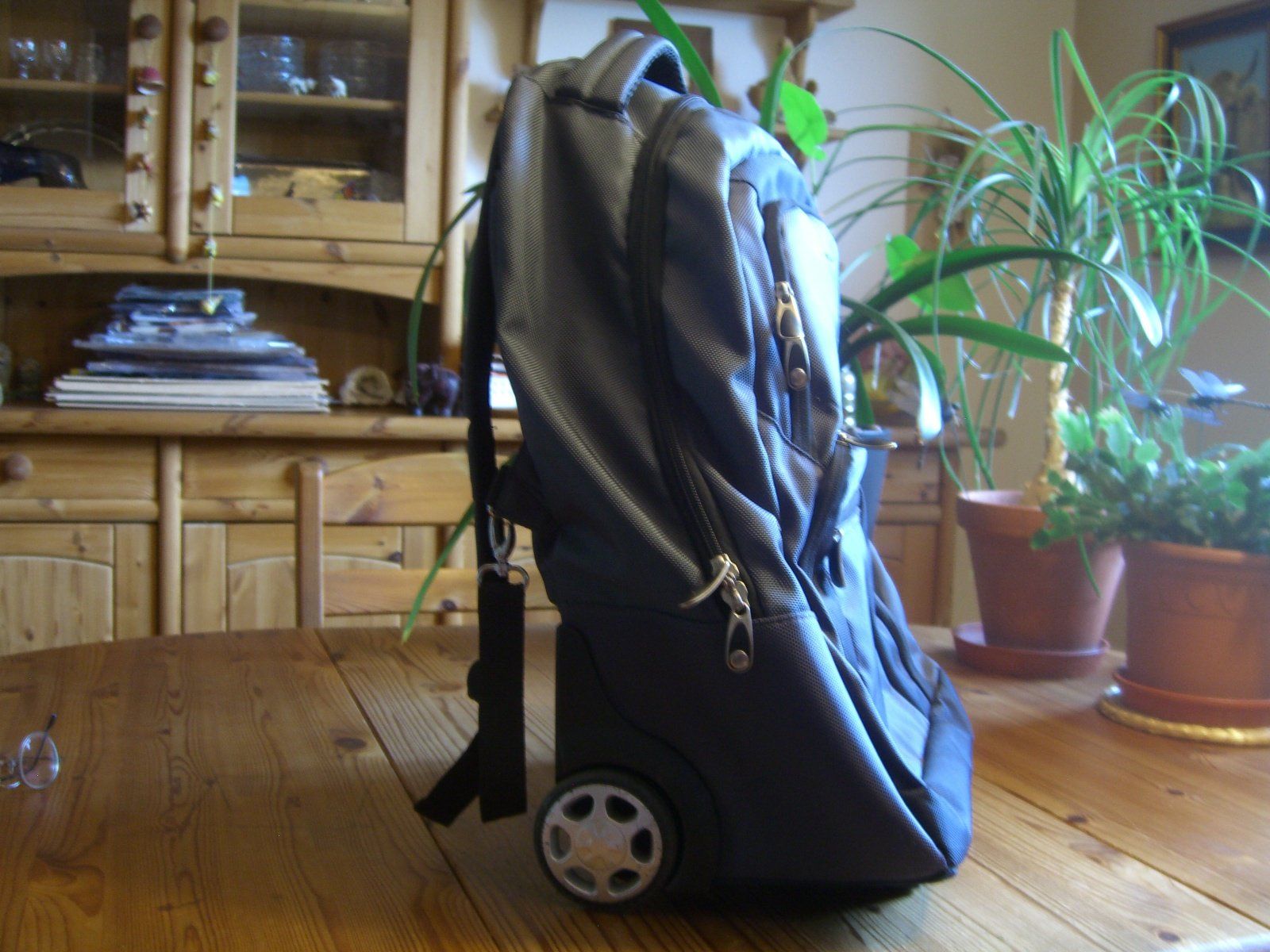 Rucksäcke: Rollrucksack, Laptop-Rucksack mit Rollen, Reiserucksack – Gebraucht aus Winterthur von Gaia 6