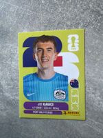 FIFA Joe Gauci AUS3