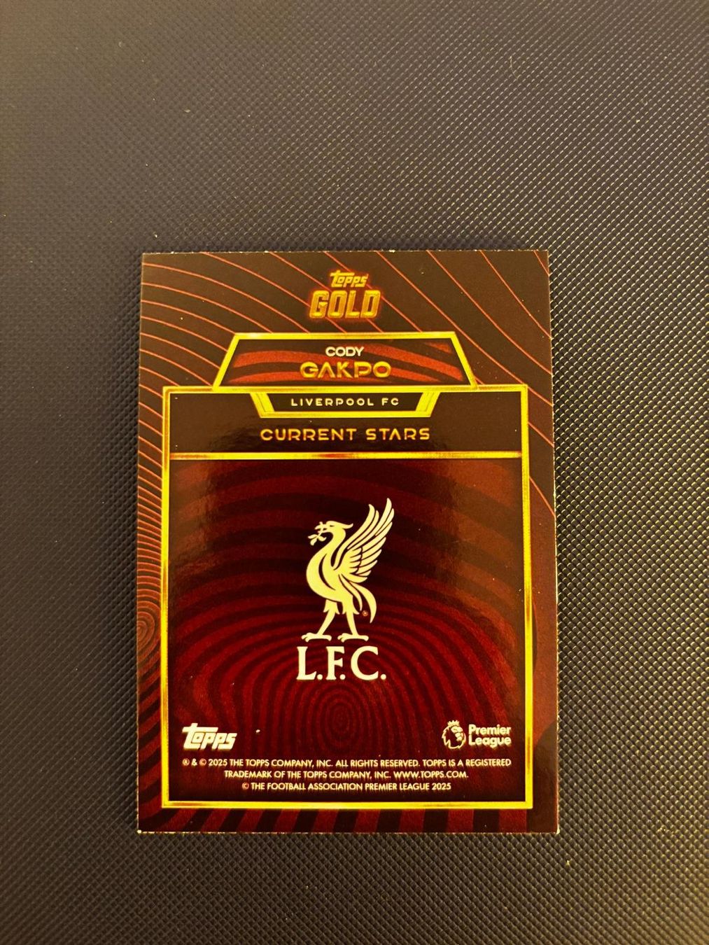 Topps Carte collezionabili: Topps Cody Gakpo 10/25 Current Stars Parallel Gold – Nuovo (secondo la descrizione) da Châtelaine venduto da Nico_Este 1