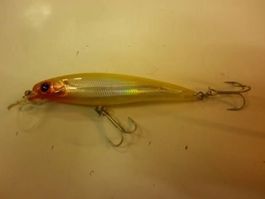 Squid Minnow 100 mm LFI