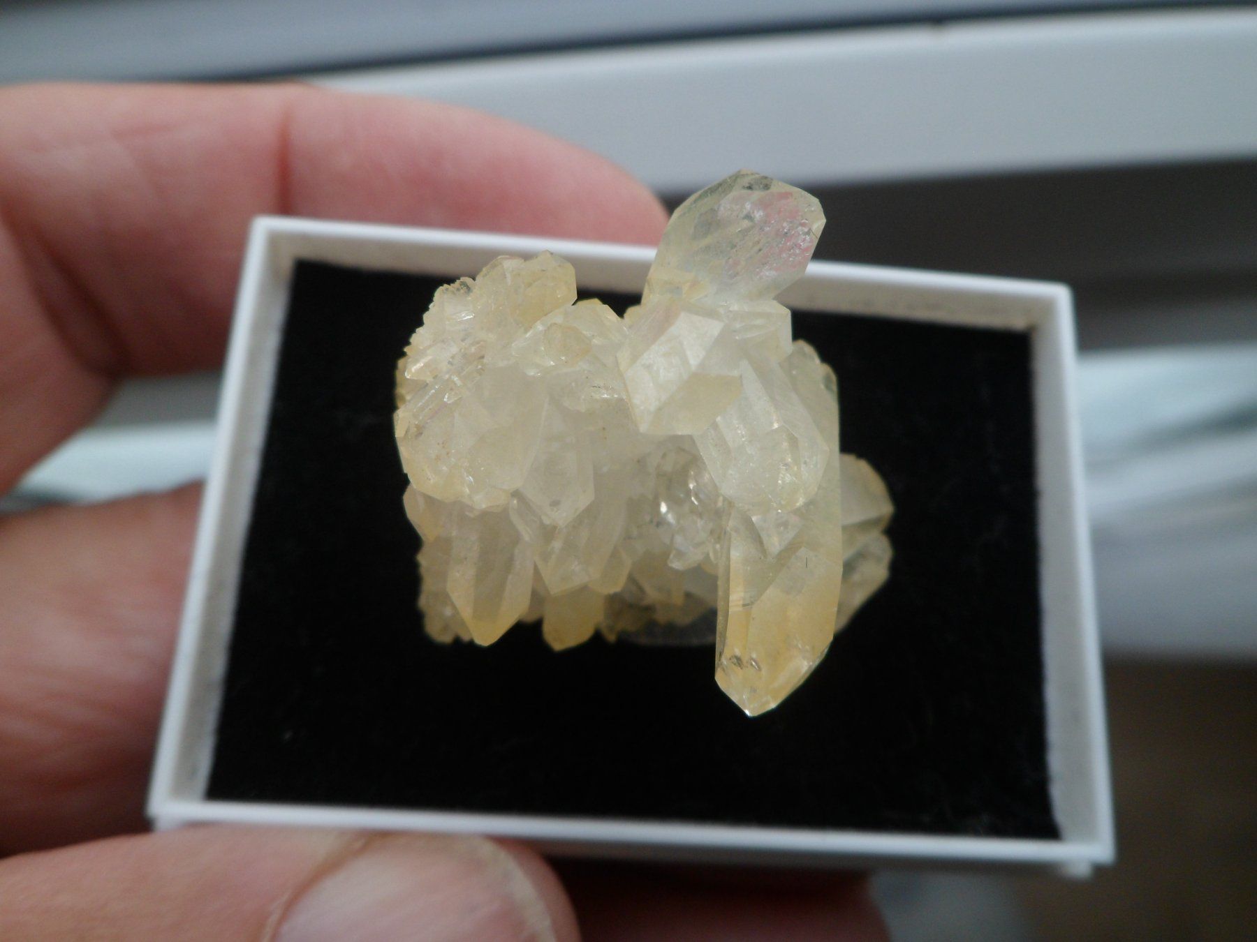 Mineralien & Heilsteine: Bergkristall Schinschlucht – Neu (gemäss Beschreibung) aus Affoltern am Albis von Fossil60 1