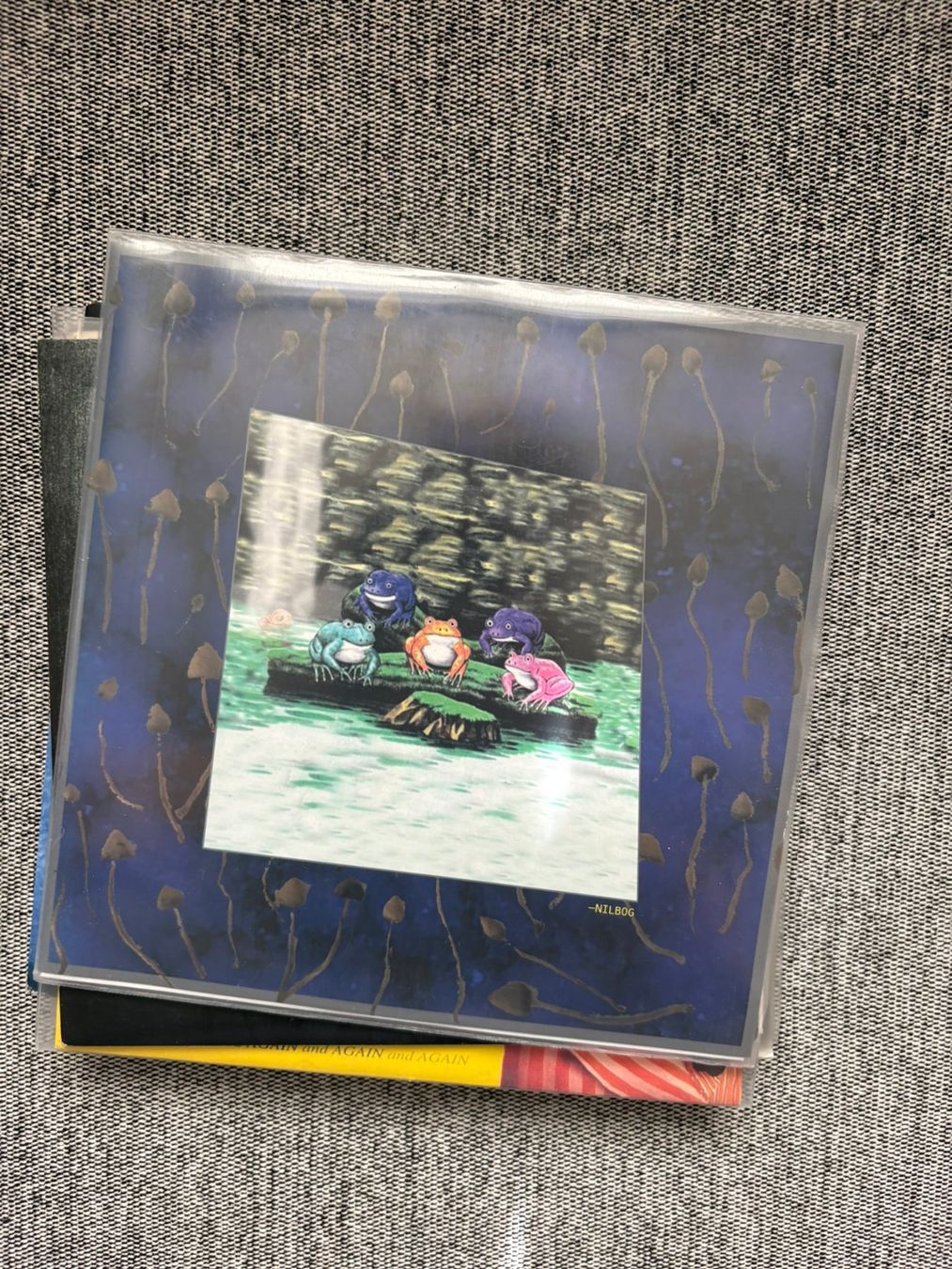 Dischi in vinile: Nilbog - Mr. Pea – Usato da Zofingen venduto da Bigron