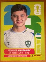 Panini UZB9