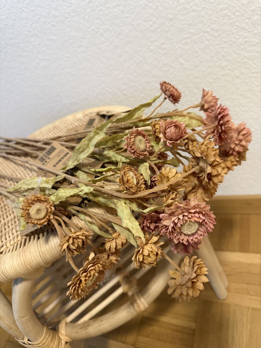Tutte le decorazioni: Diverse Trockenblumen / Baumwolle etc... – Nuovo (secondo la descrizione) da Winterthur venduto da fij_f65r 6