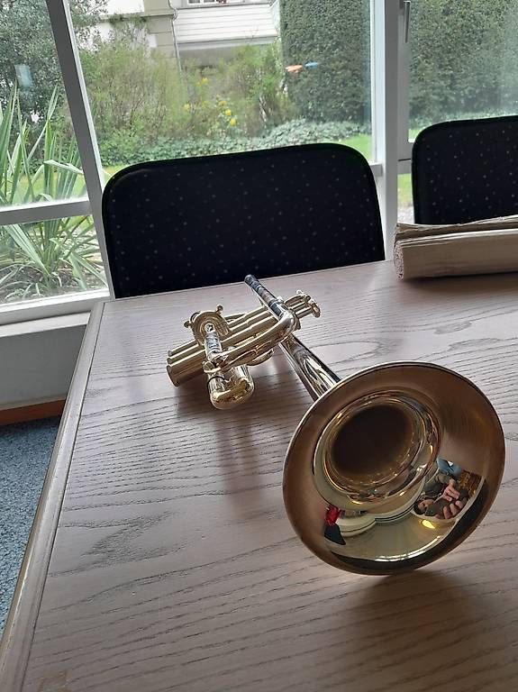 Musikinstrumente: Schilke Es/D Trompete - Traditional Custom Serie E2 – Gebraucht aus Worb von remimalj 3