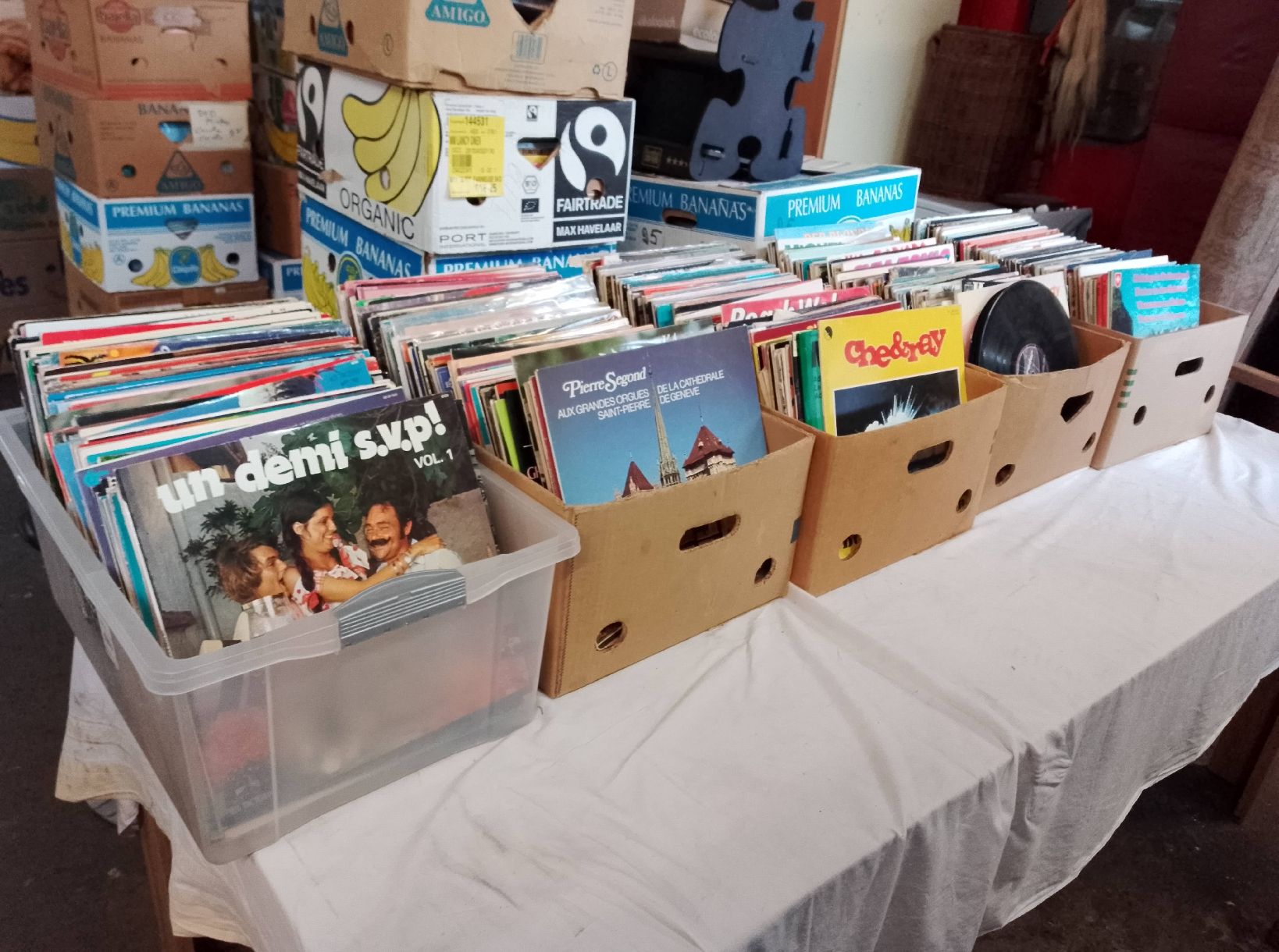 Dischi in vinile: lot de +600 vinyles – Difettoso da saillon venduto da Lamateur