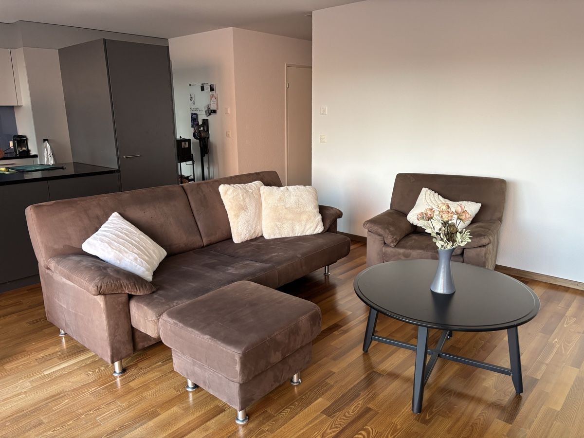 Divani: Comfy brown sofa & armchair set – Usato da Winterthur venduto da ste_9flr 1
