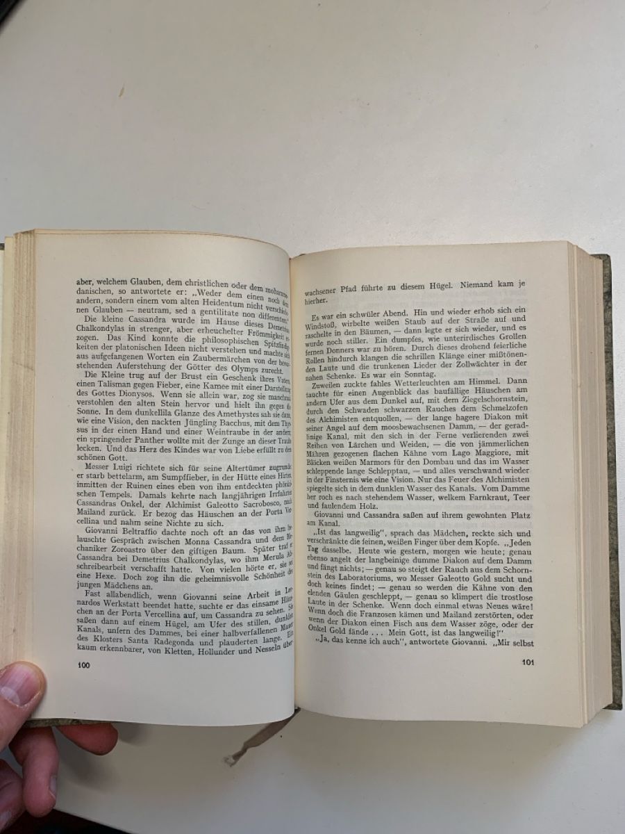 Libri: Leonardo da Vinci historischer Roman – Usato da Wiggen venduto da Antoniotto 1