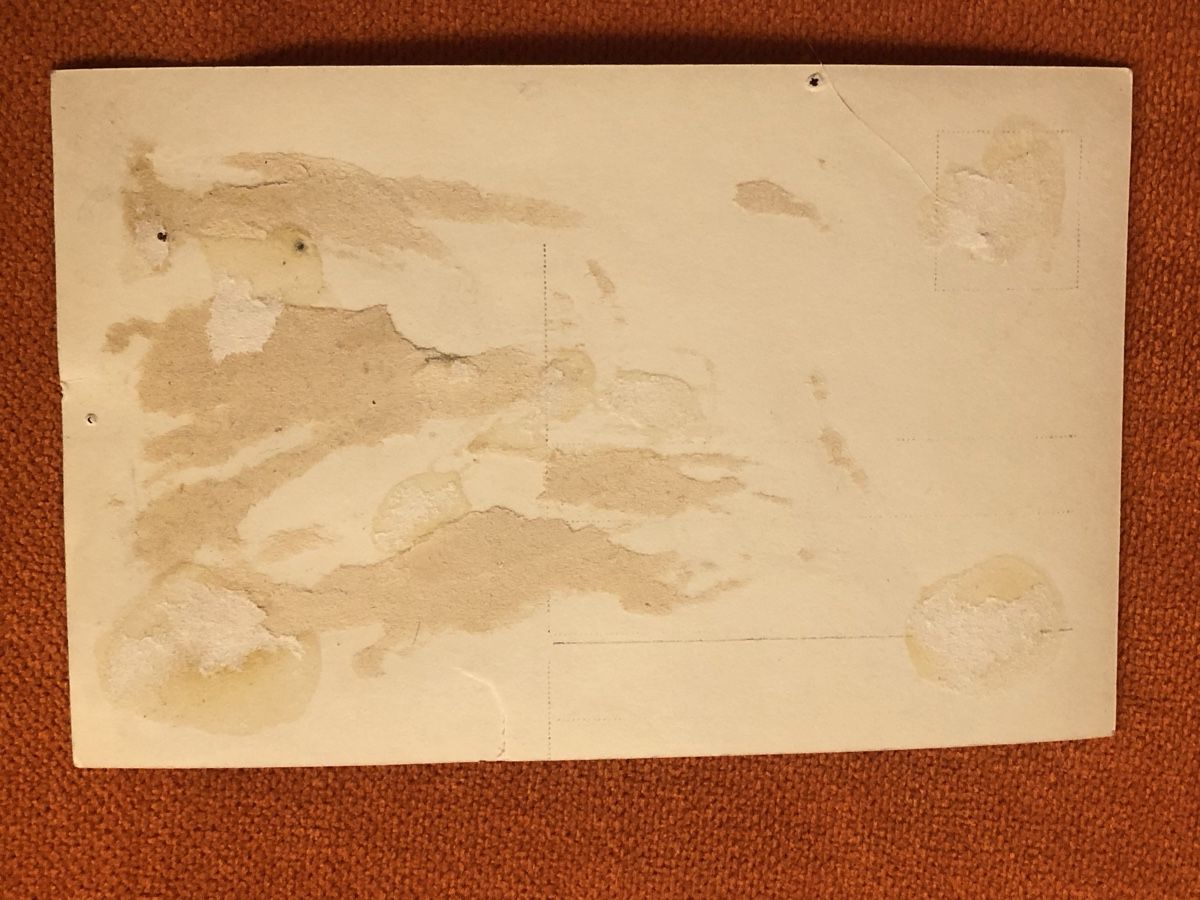 Autografi: Autogrammkarte EUGEN D‘ALBERT – Usato da Lufingen venduto da Rac0 2