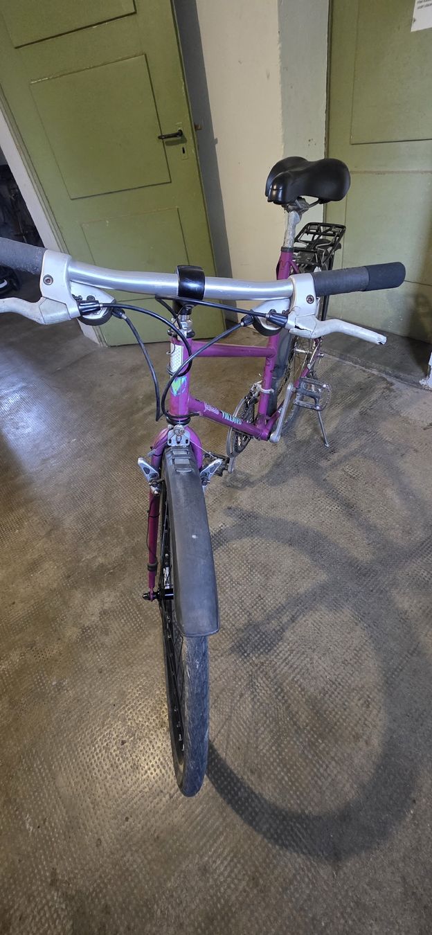 Biciclette: Damen Velo – Usato da Solothurn venduto da mar_8qf8 4